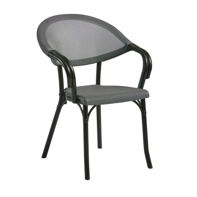 Selva Armchair Black Frame Silver Seat and Back ZA.6728C